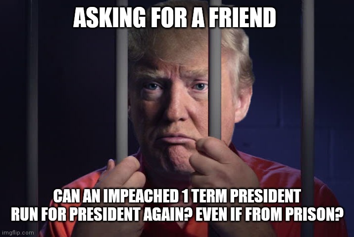 Trump Prison | ASKING FOR A FRIEND CAN AN IMPEACHED 1 TERM PRESIDENT RUN FOR PRESIDENT AGAIN? EVEN IF FROM PRISON? | image tagged in trump prison | made w/ Imgflip meme maker