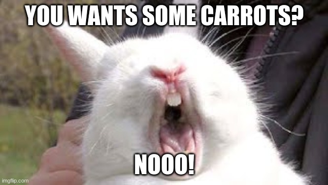 NOOOOOOOO | YOU WANTS SOME CARROTS? NOOO! | image tagged in noooooooo | made w/ Imgflip meme maker