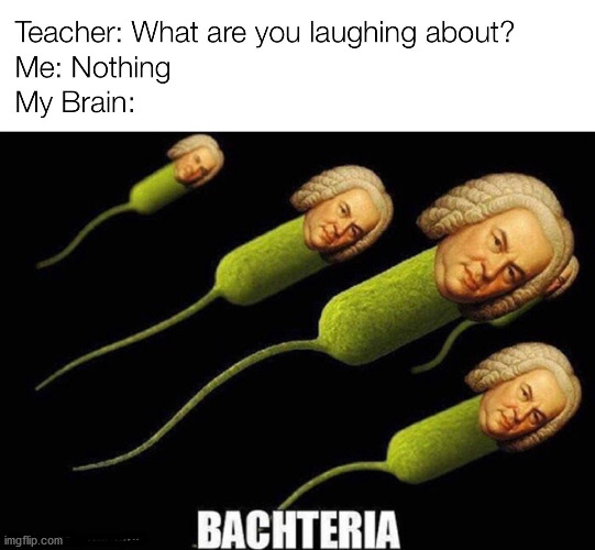 Bachteria | image tagged in bach,classical music,teacher what are you laughing at | made w/ Imgflip meme maker