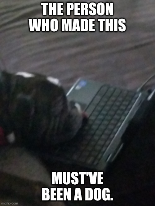 Dog on a computer | THE PERSON WHO MADE THIS MUST'VE BEEN A DOG. | image tagged in dog on a computer | made w/ Imgflip meme maker