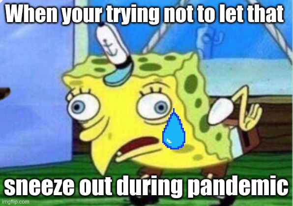 Mocking Spongebob Meme | When your trying not to let that; sneeze out during pandemic | image tagged in memes,dontdoit,spongebob | made w/ Imgflip meme maker