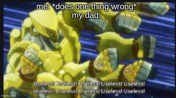 :'< | me: *does one thing wrong*
my dad: | image tagged in useless useless useless | made w/ Imgflip meme maker