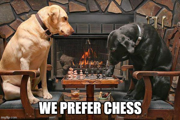 Dogs Playing Chess | WE PREFER CHESS | image tagged in dogs playing chess | made w/ Imgflip meme maker