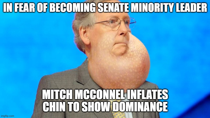 DomiantMitch | IN FEAR OF BECOMING SENATE MINORITY LEADER; MITCH MCCONNEL INFLATES CHIN TO SHOW DOMINANCE | image tagged in loser,mitch,minority,leader | made w/ Imgflip meme maker