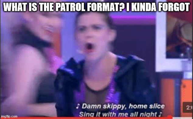 If you could tell me, that would help a lot | WHAT IS THE PATROL FORMAT? I KINDA FORGOT | image tagged in damn skippy home slice | made w/ Imgflip meme maker