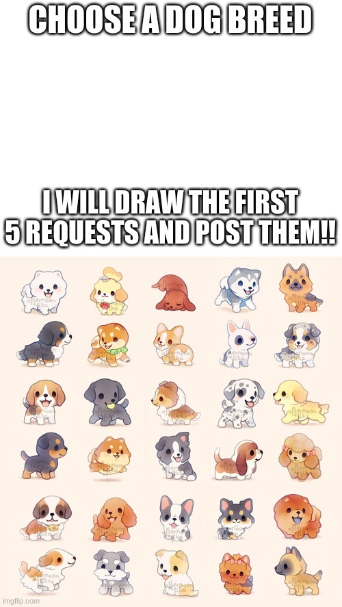 Please im bored | CHOOSE A DOG BREED; I WILL DRAW THE FIRST 5 REQUESTS AND POST THEM!! | image tagged in blank white template,dogs,draw,competition | made w/ Imgflip meme maker