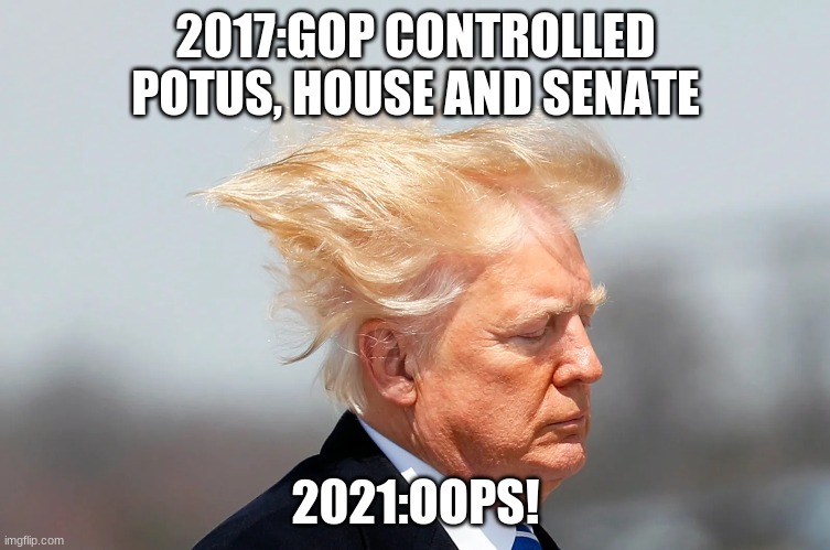 2017:GOP CONTROLLED POTUS, HOUSE AND SENATE; 2021:OOPS! | image tagged in loser | made w/ Imgflip meme maker