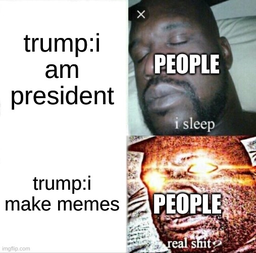 Sleeping Shaq | trump:i am president; PEOPLE; trump:i make memes; PEOPLE | image tagged in memes,sleeping shaq | made w/ Imgflip meme maker