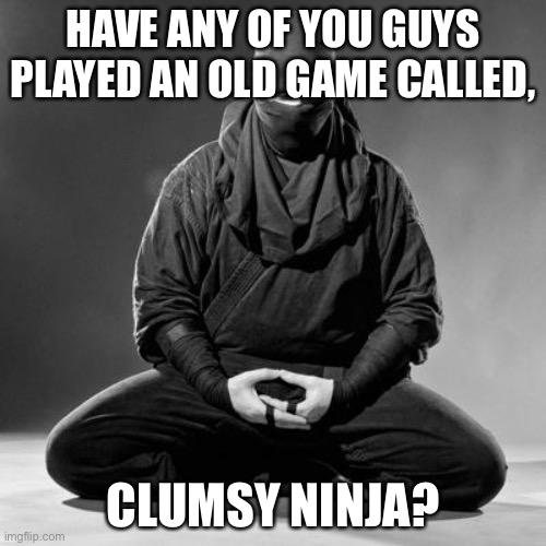 Ninja Zen | HAVE ANY OF YOU GUYS PLAYED AN OLD GAME CALLED, CLUMSY NINJA? | image tagged in ninja zen | made w/ Imgflip meme maker