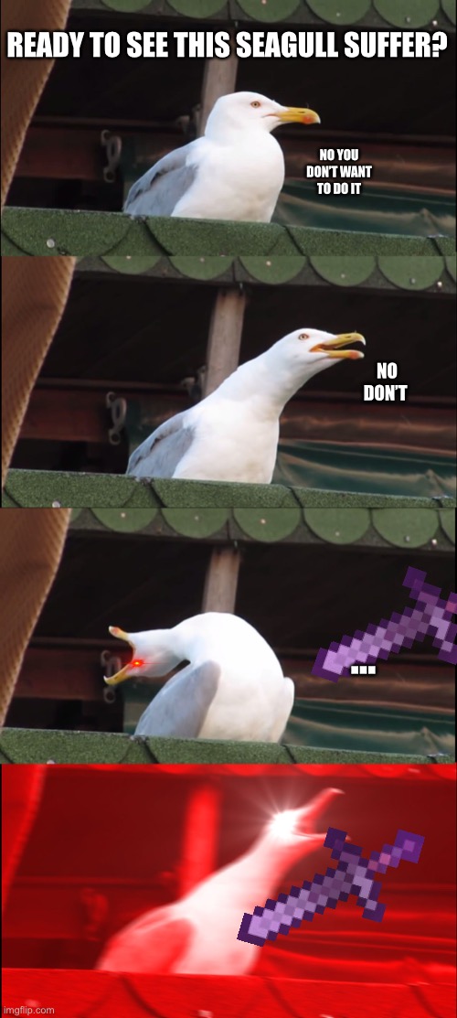 He no inhale he suffer | READY TO SEE THIS SEAGULL SUFFER? NO YOU DON’T WANT TO DO IT; NO DON’T; ... | image tagged in memes,inhaling seagull | made w/ Imgflip meme maker