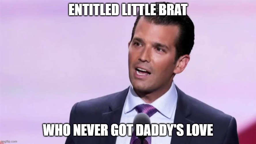 ENTITLED LITTLE BRAT; WHO NEVER GOT DADDY'S LOVE | image tagged in entitlement | made w/ Imgflip meme maker