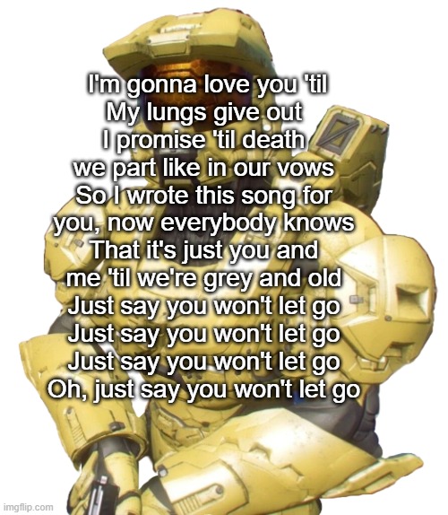 Sister | I'm gonna love you 'til
My lungs give out
I promise 'til death we part like in our vows
So I wrote this song for you, now everybody knows
That it's just you and me 'til we're grey and old
Just say you won't let go
Just say you won't let go
Just say you won't let go
Oh, just say you won't let go | image tagged in sister | made w/ Imgflip meme maker