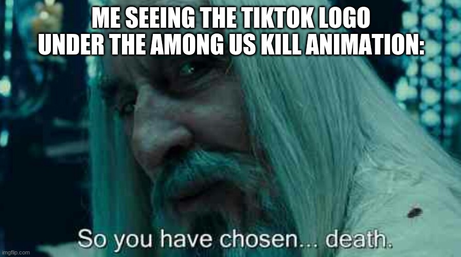 So you have chosen death | ME SEEING THE TIKTOK LOGO UNDER THE AMONG US KILL ANIMATION: | image tagged in so you have chosen death | made w/ Imgflip meme maker