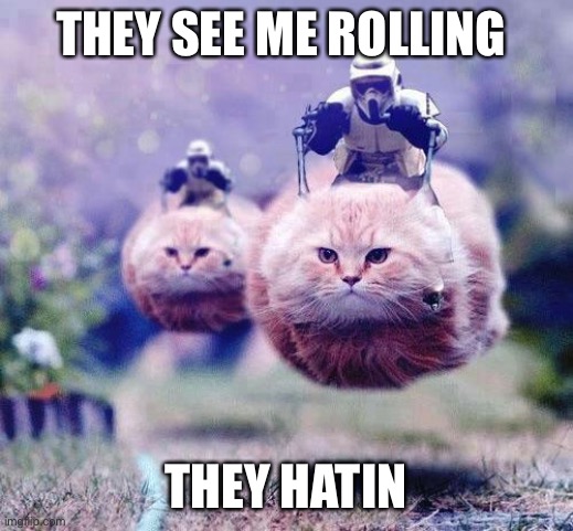 Storm Trooper Cats | THEY SEE ME ROLLING; THEY HATIN | image tagged in storm trooper cats | made w/ Imgflip meme maker