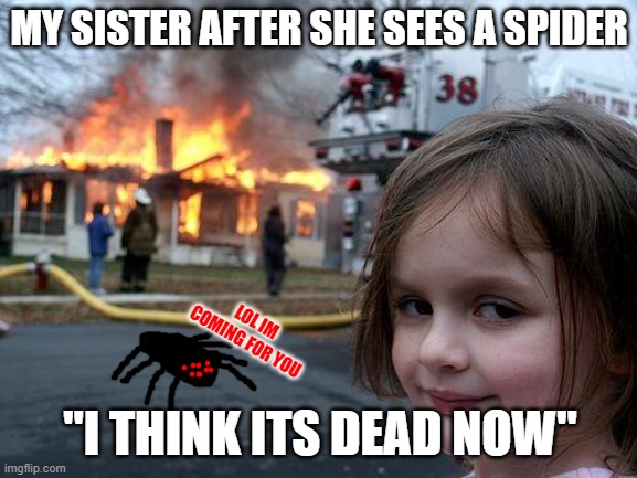 Disaster Girl Meme | MY SISTER AFTER SHE SEES A SPIDER; LOL IM COMING FOR YOU; "I THINK ITS DEAD NOW" | image tagged in memes,disaster girl | made w/ Imgflip meme maker