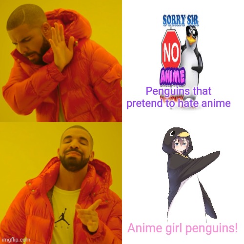 Anime penguins | Penguins that pretend to hate anime; Anime girl penguins! | image tagged in memes,drake hotline bling,anti anime,penguins,anime girl | made w/ Imgflip meme maker