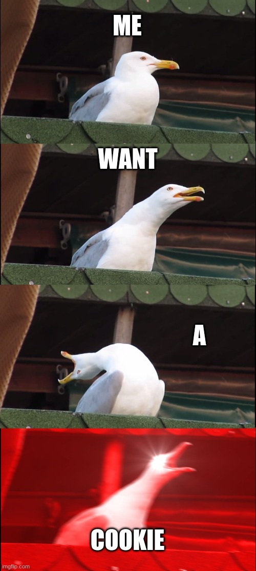 Inhaling Seagull Meme | ME; WANT; A; COOKIE | image tagged in memes,inhaling seagull | made w/ Imgflip meme maker