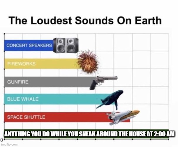 The Loudest Sounds on Earth | ANYTHING YOU DO WHILE YOU SNEAK AROUND THE HOUSE AT 2:00 AM | image tagged in the loudest sounds on earth | made w/ Imgflip meme maker