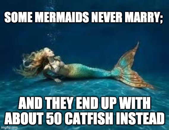 Mermaid | SOME MERMAIDS NEVER MARRY;; AND THEY END UP WITH ABOUT 50 CATFISH INSTEAD | image tagged in mermaid | made w/ Imgflip meme maker