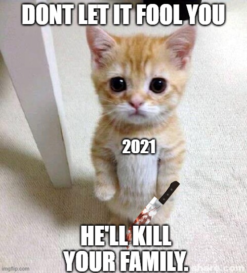 Im scared | DONT LET IT FOOL YOU; 2021; HE'LL KILL YOUR FAMILY. | image tagged in memes,cute cat | made w/ Imgflip meme maker