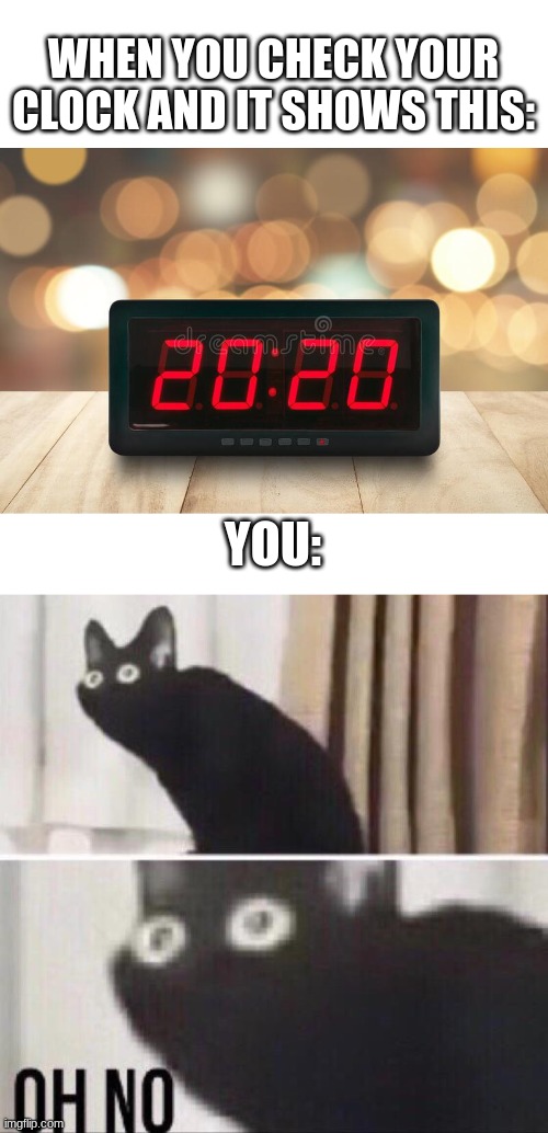 It's actually 8:20 but it says that on some clocks | WHEN YOU CHECK YOUR CLOCK AND IT SHOWS THIS:; YOU: | image tagged in oh no cat,2020,clock,time | made w/ Imgflip meme maker