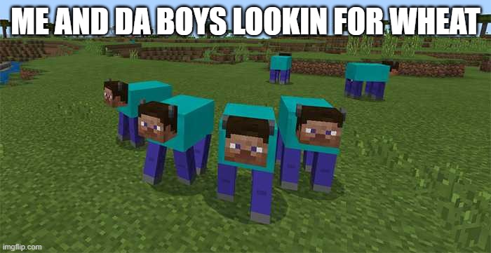 Me and da boys |  ME AND DA BOYS LOOKIN FOR WHEAT | image tagged in me and the boys | made w/ Imgflip meme maker