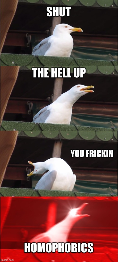 Inhaling Seagull | SHUT; THE HELL UP; YOU FRICKIN; HOMOPHOBICS | image tagged in memes,inhaling seagull,no homophobics | made w/ Imgflip meme maker