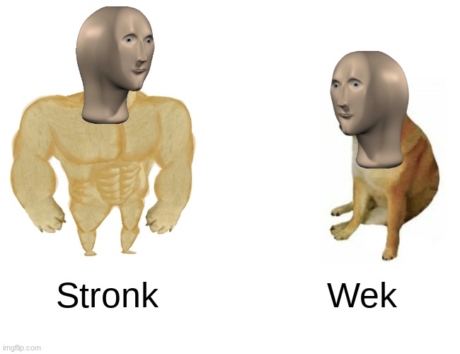 Found a way to put meme man in this template (also I made a new wek template) | Stronk; Wek | image tagged in memes,buff doge vs cheems,meme man stronk | made w/ Imgflip meme maker