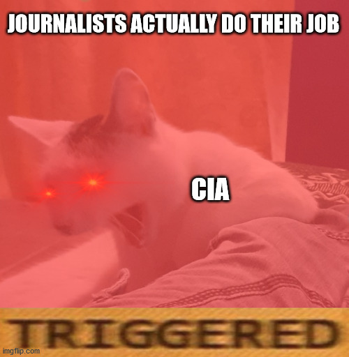 CIa | JOURNALISTS ACTUALLY DO THEIR JOB; CIA | image tagged in politics | made w/ Imgflip meme maker