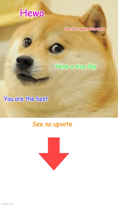 If this is considered upvote begging, plz tell me so I can take this down. | Hewo; Pws don't upvote this meme; Have a nice day; You are the best; See no upvote | image tagged in memes,doge,blank white template | made w/ Imgflip meme maker