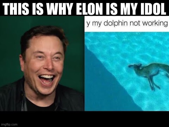 Elon needs a new dolphin | THIS IS WHY ELON IS MY IDOL | image tagged in elon musk,dolphin,funny,memes,dark humor | made w/ Imgflip meme maker