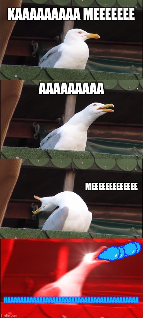 Inhaling Seagull Meme | KAAAAAAAAA MEEEEEEE; AAAAAAAAA; MEEEEEEEEEEEEE; HAAAAAAAAAAAAAAAAAAAAAAAAAAAAAAAAAAAAAAAAA | image tagged in memes,inhaling seagull | made w/ Imgflip meme maker