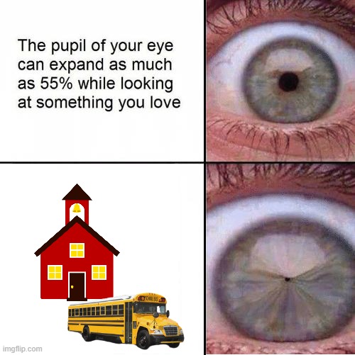 ... | image tagged in eye pupil shrinking template,school,memes | made w/ Imgflip meme maker