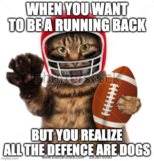 Sports | WHEN YOU WANT TO BE A RUNNING BACK; BUT YOU REALIZE ALL THE DEFENCE ARE DOGS | image tagged in sports | made w/ Imgflip meme maker