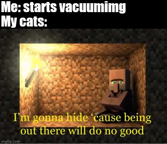 Gonna hide | Me: starts vacuumimg
My cats: | image tagged in cats | made w/ Imgflip meme maker