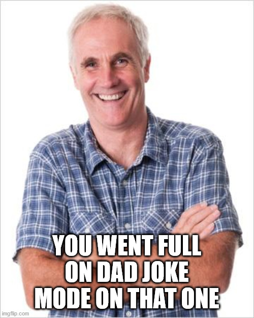 Dad joke | YOU WENT FULL ON DAD JOKE MODE ON THAT ONE | image tagged in dad joke | made w/ Imgflip meme maker