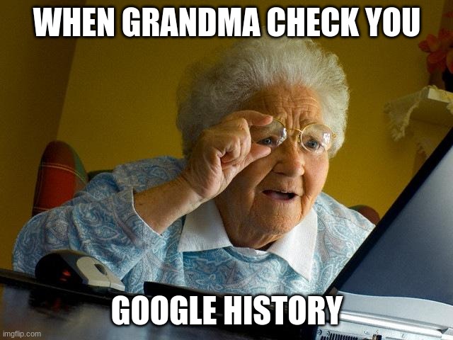 Grandma Finds The Internet Meme | WHEN GRANDMA CHECK YOU; GOOGLE HISTORY | image tagged in memes,grandma finds the internet | made w/ Imgflip meme maker