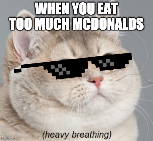 Heavy Breathing Cat Meme | WHEN YOU EAT TOO MUCH MCDONALDS | image tagged in memes,heavy breathing cat | made w/ Imgflip meme maker