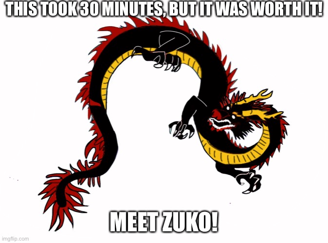 THIS TOOK 30 MINUTES, BUT IT WAS WORTH IT! MEET ZUKO! | made w/ Imgflip meme maker