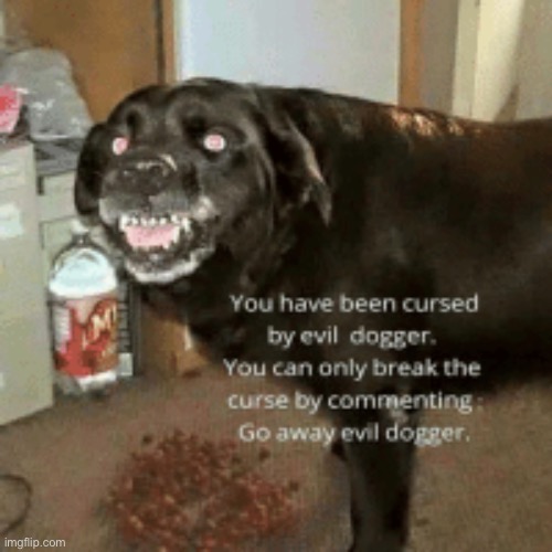 if you think this is an upvote beg well I DONT CARE :) | image tagged in evil dogger | made w/ Imgflip meme maker