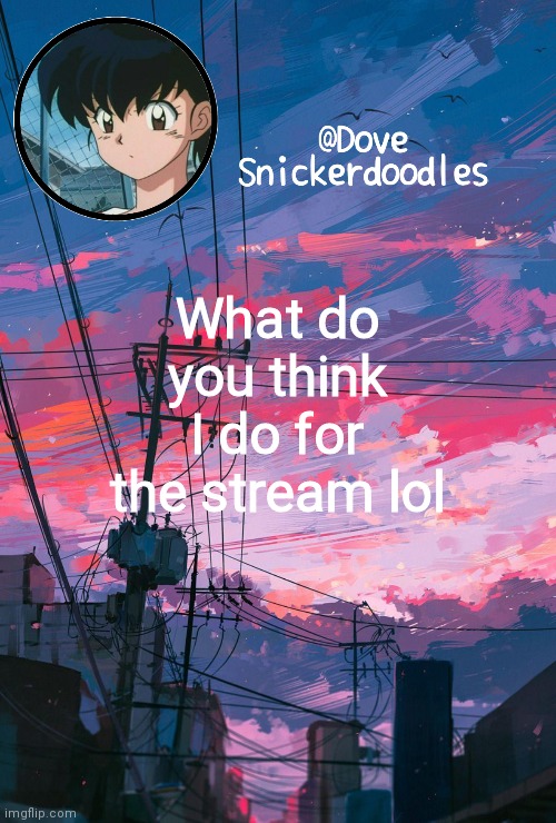 Nothing duh | What do you think I do for the stream lol | image tagged in announcement | made w/ Imgflip meme maker
