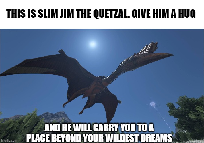 Slim Jim the Quetzal | THIS IS SLIM JIM THE QUETZAL. GIVE HIM A HUG; AND HE WILL CARRY YOU TO A PLACE BEYOND YOUR WILDEST DREAMS | image tagged in fun | made w/ Imgflip meme maker