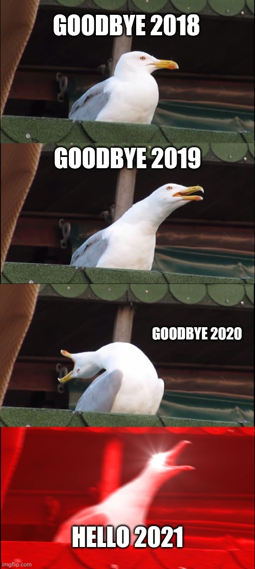Welcome 2021 | GOODBYE 2018; GOODBYE 2019; GOODBYE 2020; HELLO 2021 | image tagged in memes,inhaling seagull,lol,funny memes,birds,2021 | made w/ Imgflip meme maker