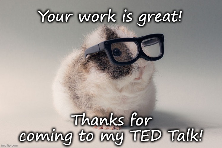 Hipster Guinea Pig | Your work is great! Thanks for coming to my TED Talk! | image tagged in hipster guinea pig | made w/ Imgflip meme maker