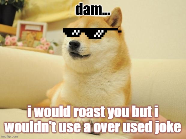 Doge 2 Meme | dam... i would roast you but i wouldn't use a over used joke | image tagged in memes,doge 2 | made w/ Imgflip meme maker