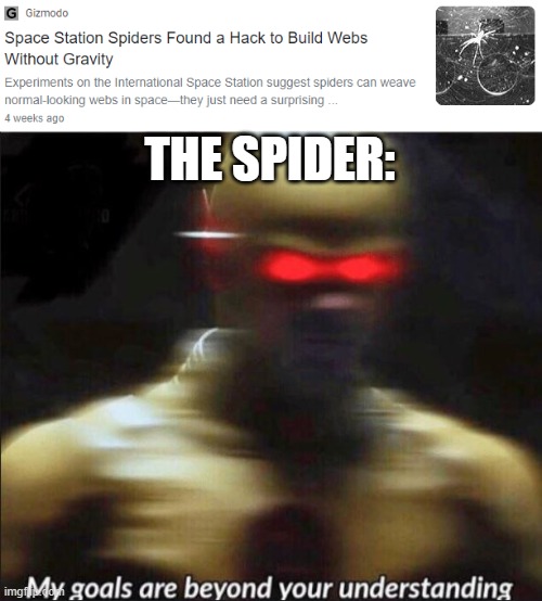 THE SPIDER: | image tagged in my goals are beyond your understanding | made w/ Imgflip meme maker