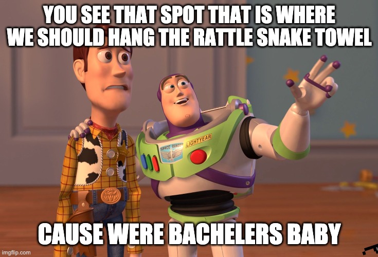 X, X Everywhere Meme | YOU SEE THAT SPOT THAT IS WHERE WE SHOULD HANG THE RATTLE SNAKE TOWEL; CAUSE WERE BACHELERS BABY | image tagged in memes,x x everywhere | made w/ Imgflip meme maker