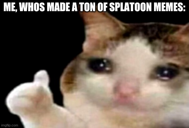 Sad cat thumbs up | ME, WHOS MADE A TON OF SPLATOON MEMES: | image tagged in sad cat thumbs up | made w/ Imgflip meme maker