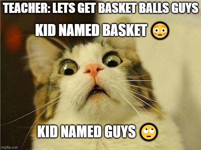 One Of My Better memes | KID NAMED BASKET 😳; TEACHER: LETS GET BASKET BALLS GUYS; KID NAMED GUYS 🙄 | image tagged in suprised cat | made w/ Imgflip meme maker