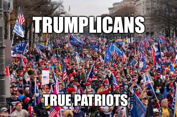 Trumplicans unite | TRUMPLICANS; TRUE PATRIOTS | image tagged in save america,president trump,united | made w/ Imgflip meme maker